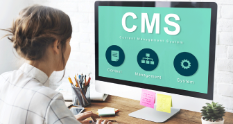 Content Management Systems (CMS) Content Management Systems (CMS)